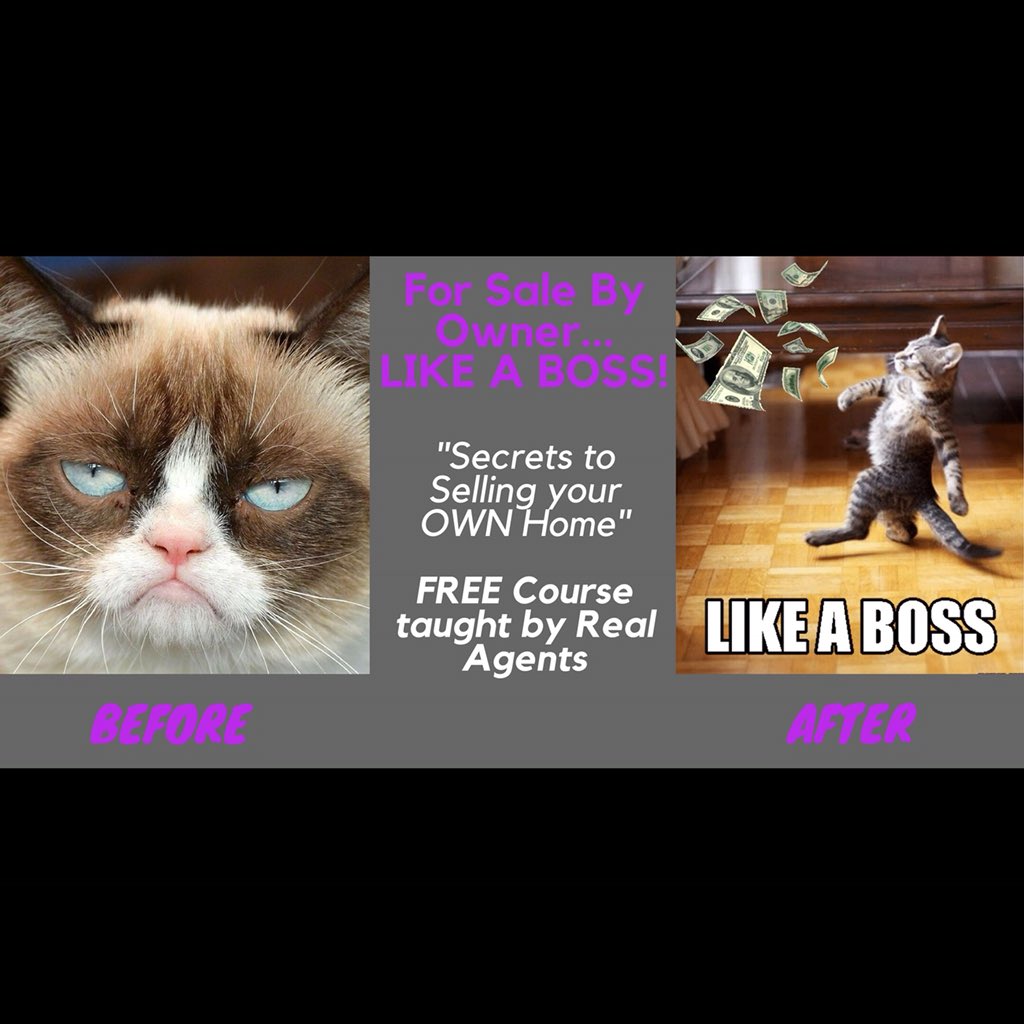 vsuarezrealty's tweet photo. FREE For Sale by Owner Event! Come join us and SELL your own home like a BOSS! https://t.co/4oud3ml2ER #FSBO #forsalebyowner #seller #homeowner #freeevent #orlandoevent #realestate https://t.co/FvqrrclVwa