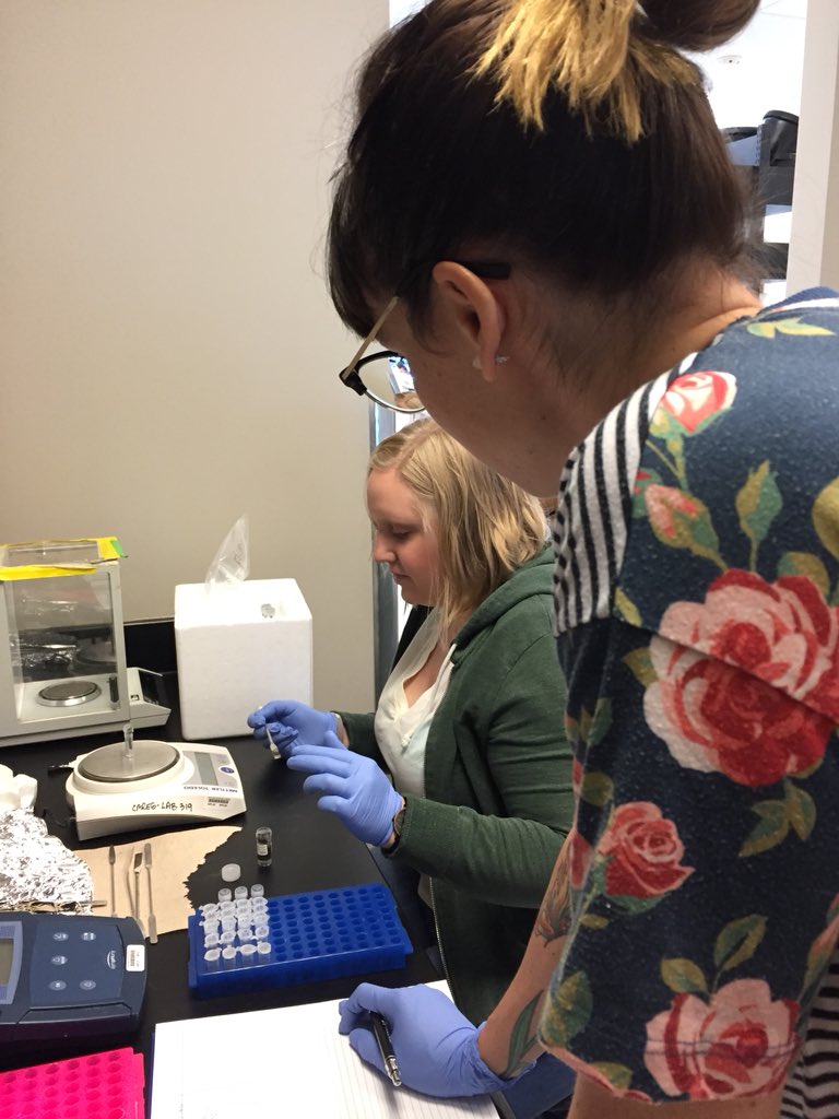 What’s the historical impact of nutrient pollution and zebra mussels on Lake Carlos? We’re looking at Cyano DNA preserved in lake sediments to find out! Thanks for the help <a href="/meg_newell/">Meaghan Newell</a>!