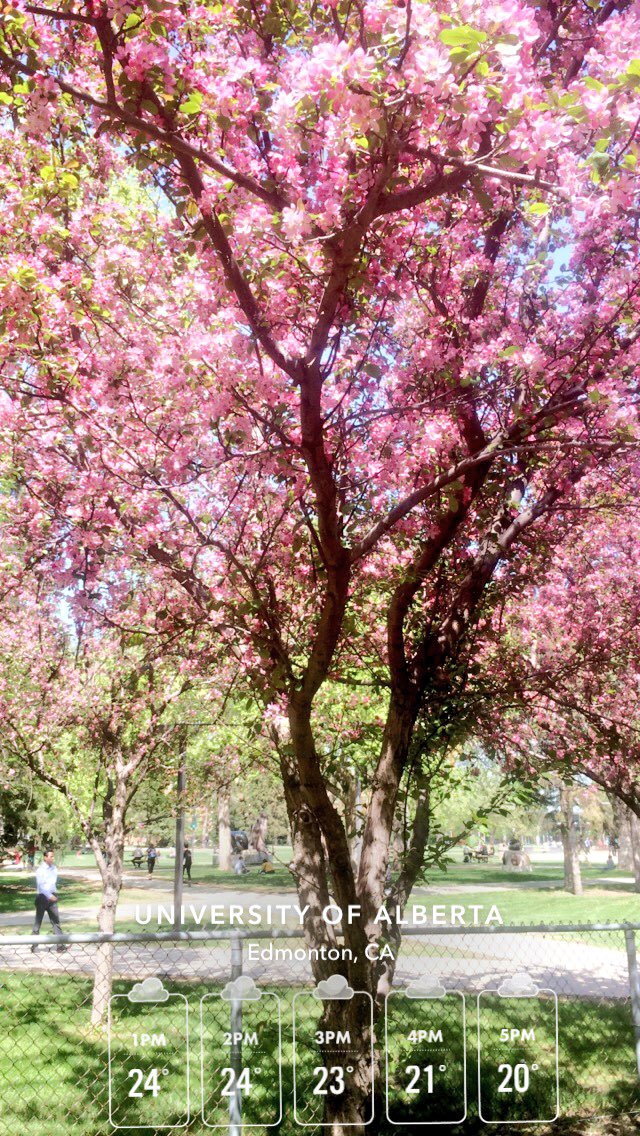 thefirstjoel's tweet photo. It’s the perfect day to spend outside and bounce academic ideas off of subject matter experts!  Thanks for the great chat and meet up, @justjenpascoe! #scicomm #whencohortscollide #gradschoolgrind #uaxmact https://t.co/XZm5XlNEN3
