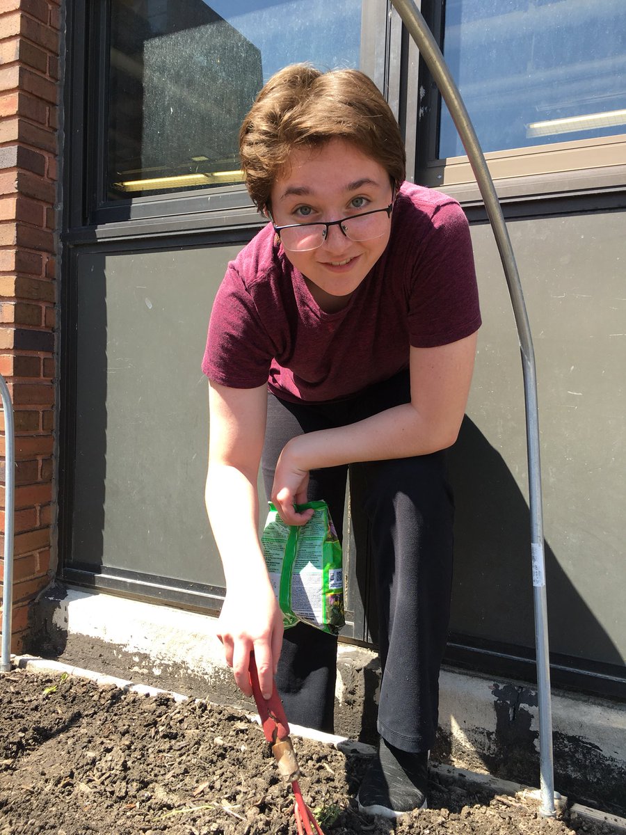 IGSSers's tweet photo. Look at our garden grow! #Kingofspades @TOGgardens https://t.co/D5LEfc1W0Q