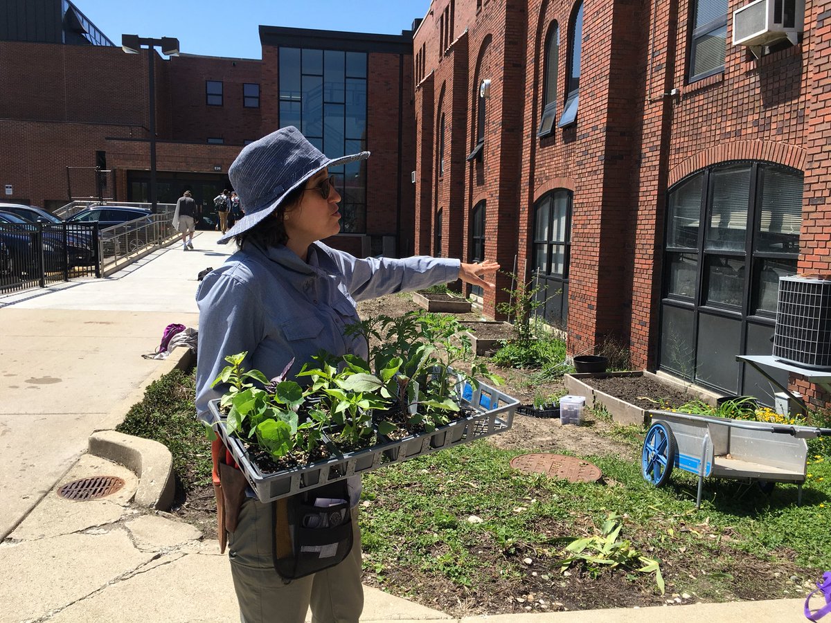 IGSSers's tweet photo. Look at our garden grow! #Kingofspades @TOGgardens https://t.co/D5LEfc1W0Q