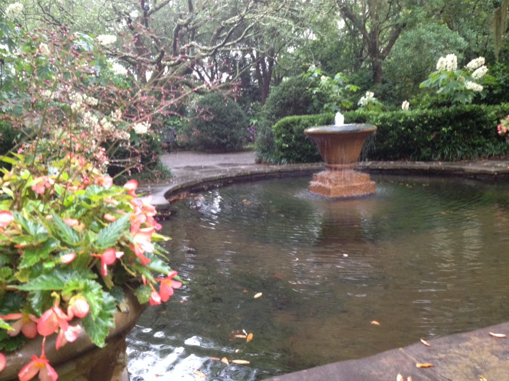 Bellingrath1932's tweet image. Water, water everywhere!