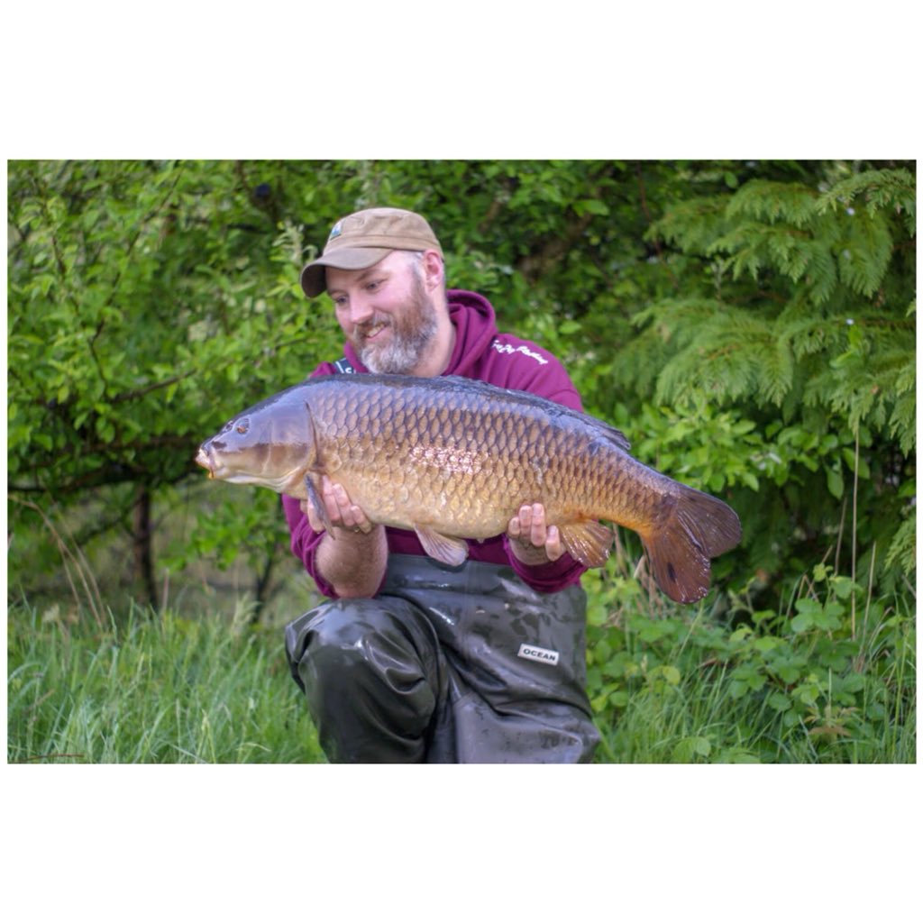 taloncarptackle's tweet photo. @mickbatley with a stunning 21.1oz common from his local club water, caught using our size 4 curve shanks on the German rig with a @corebaits_ CB4 wafter over a bed of hemp and CB4 chops to a hole in the weed. #taloncarptackle #corebaits #carpangling #commoncarp #FreeLineMagazine https://t.co/qqOOKBt3hA