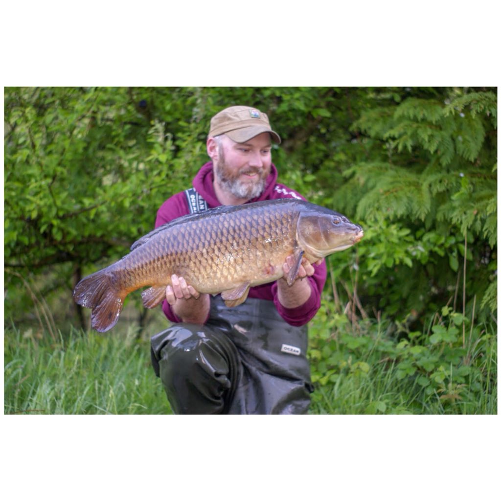 taloncarptackle's tweet photo. @mickbatley with a stunning 21.1oz common from his local club water, caught using our size 4 curve shanks on the German rig with a @corebaits_ CB4 wafter over a bed of hemp and CB4 chops to a hole in the weed. #taloncarptackle #corebaits #carpangling #commoncarp #FreeLineMagazine https://t.co/qqOOKBt3hA