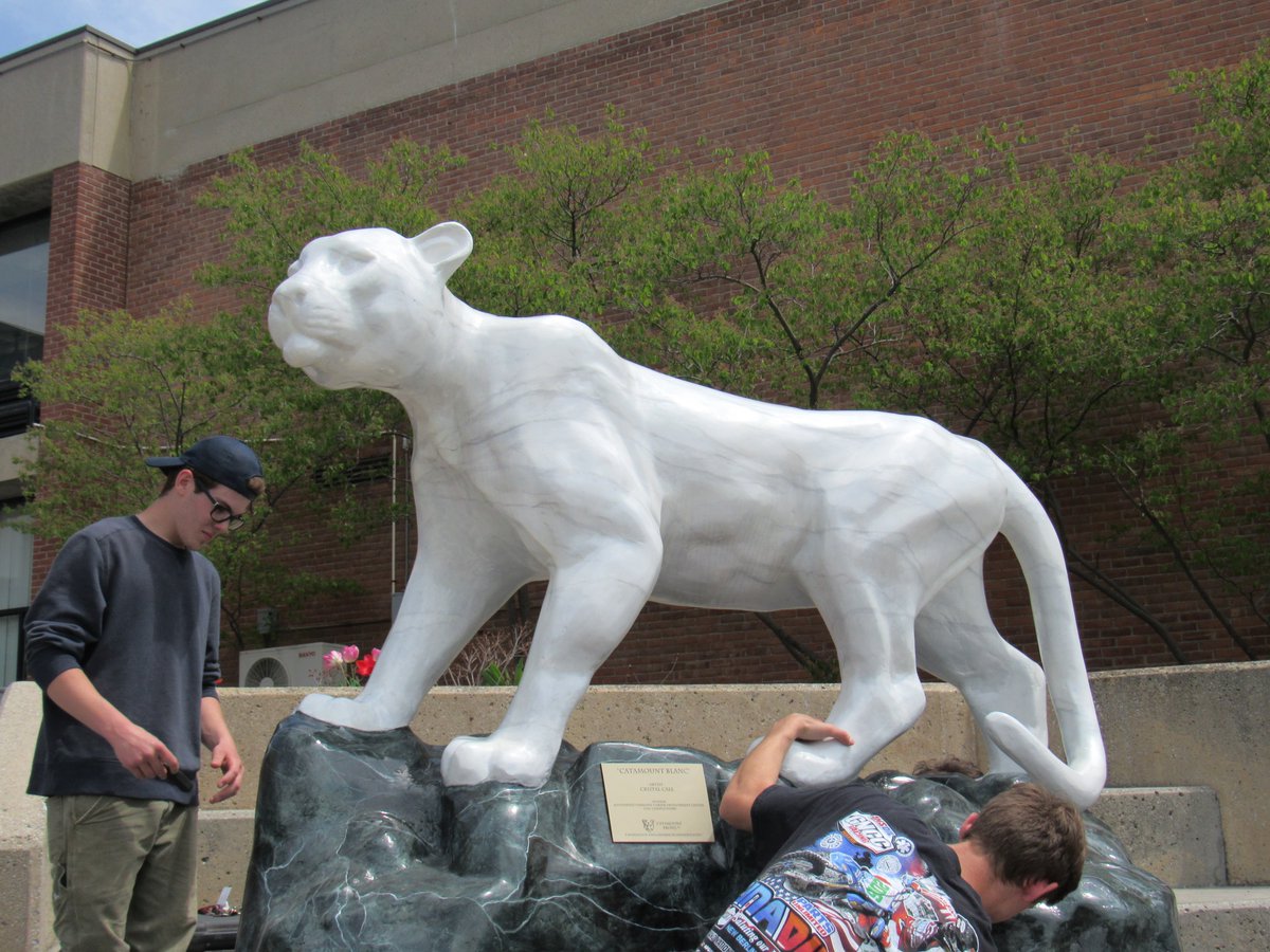 Today brought a lot of activity to <a href="/SVCDCOfficial/">Southwest Vermont Career Development Center</a>!  We were happy that our resident catamount ushered in spring by moving outside (thanks to building trades)!