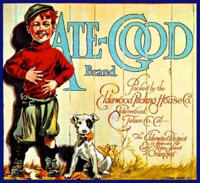 brooding_squid's tweet image. Elderwood of Tulare.... #broodingsquid