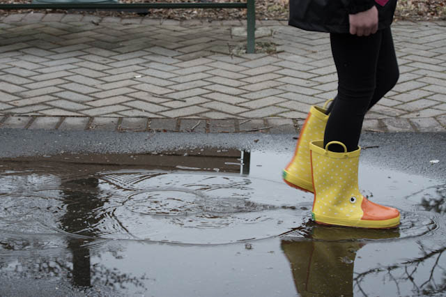 rainbow daze rain boots