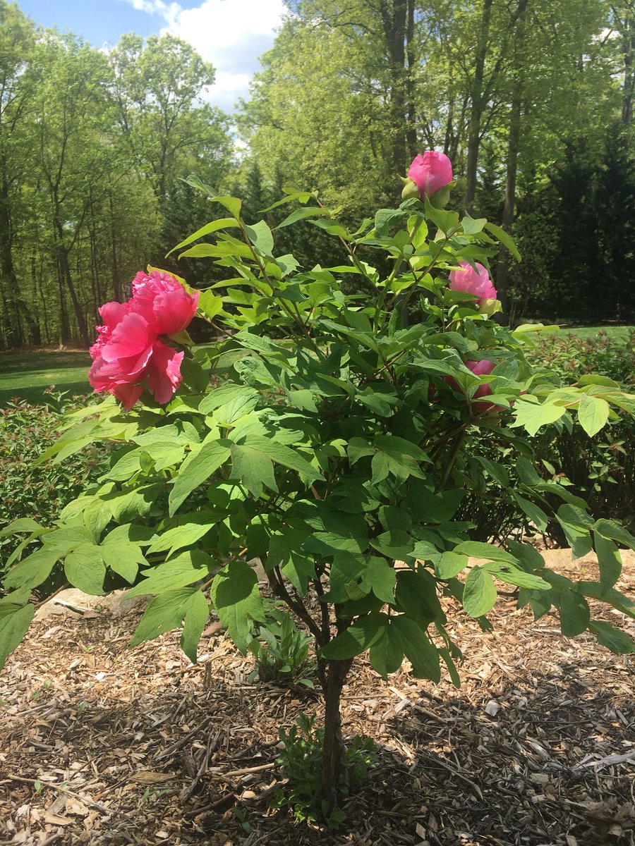 Spring is finally here!