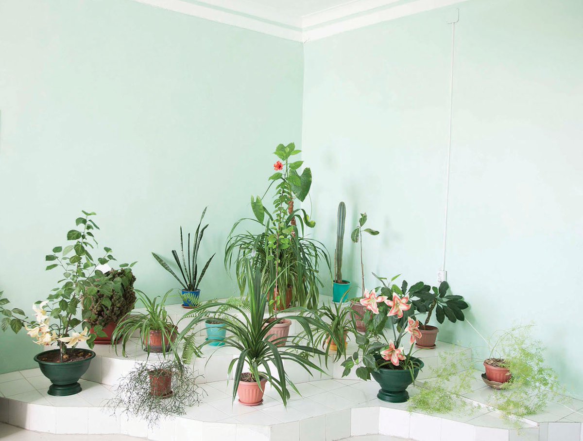 krkphotomonth's tweet photo. .@freshfrompoland writes about Agnieszka Rayss' project 'The Last Conversation with Academician Sakharov' (2016–2018) which is on #display in @BunkierSztuki as a part of #KrakowPhotomonth #MainProgramme ➡️ https://t.co/vBH0GX0RbV https://t.co/uEeDtVOKLw