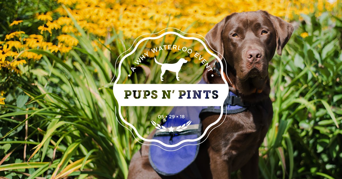 SnapPeaDesign's tweet photo. Happy hour has never been happier. Join Snap Pea Design and @NatlServiceDogs for a brew for a great cause. Stop by Catalyst137 on May 29th from 5-8pm. #WhyWaterloo #TNDTK #Catalyst137KW #SnapPeaDesign #Waterloo https://t.co/YyJS07ZJUw