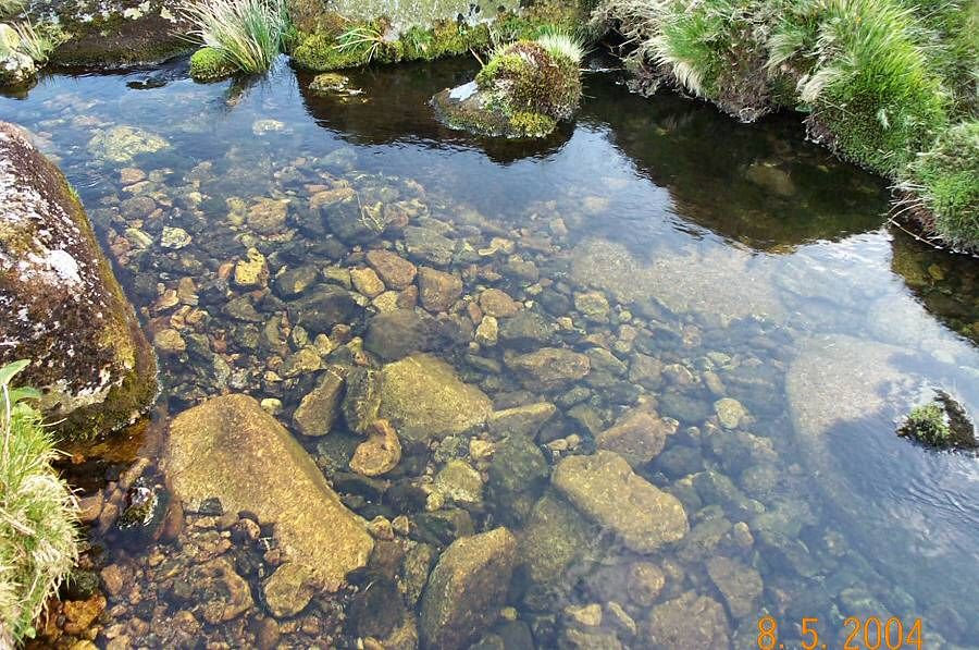 profofproof's tweet image. #WednesdayWordoftheWeek

Even more #clear than #lucid, #pellucid also means #translucent.

#vocabulary 
#wordnerd
#language 
#WednesdayWord