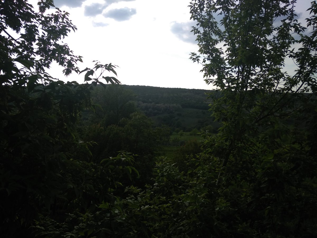 Когда хотел сделать хорошую фотку, но солнце было другого мнения :d