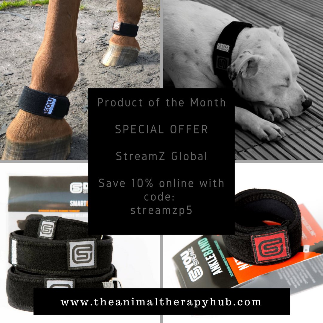 AnimalTherapyH's tweet photo. 💫 Special Offer💫 to celebrate our PRODUCT OF THE MONTH for May. 

Enjoy 10% off StreamZ Global at https://t.co/xjPOpkg3Sx

#animaltherapy #magneticresonance #PonyHour #EquineHour #HorseHour https://t.co/w4CJWBeocX