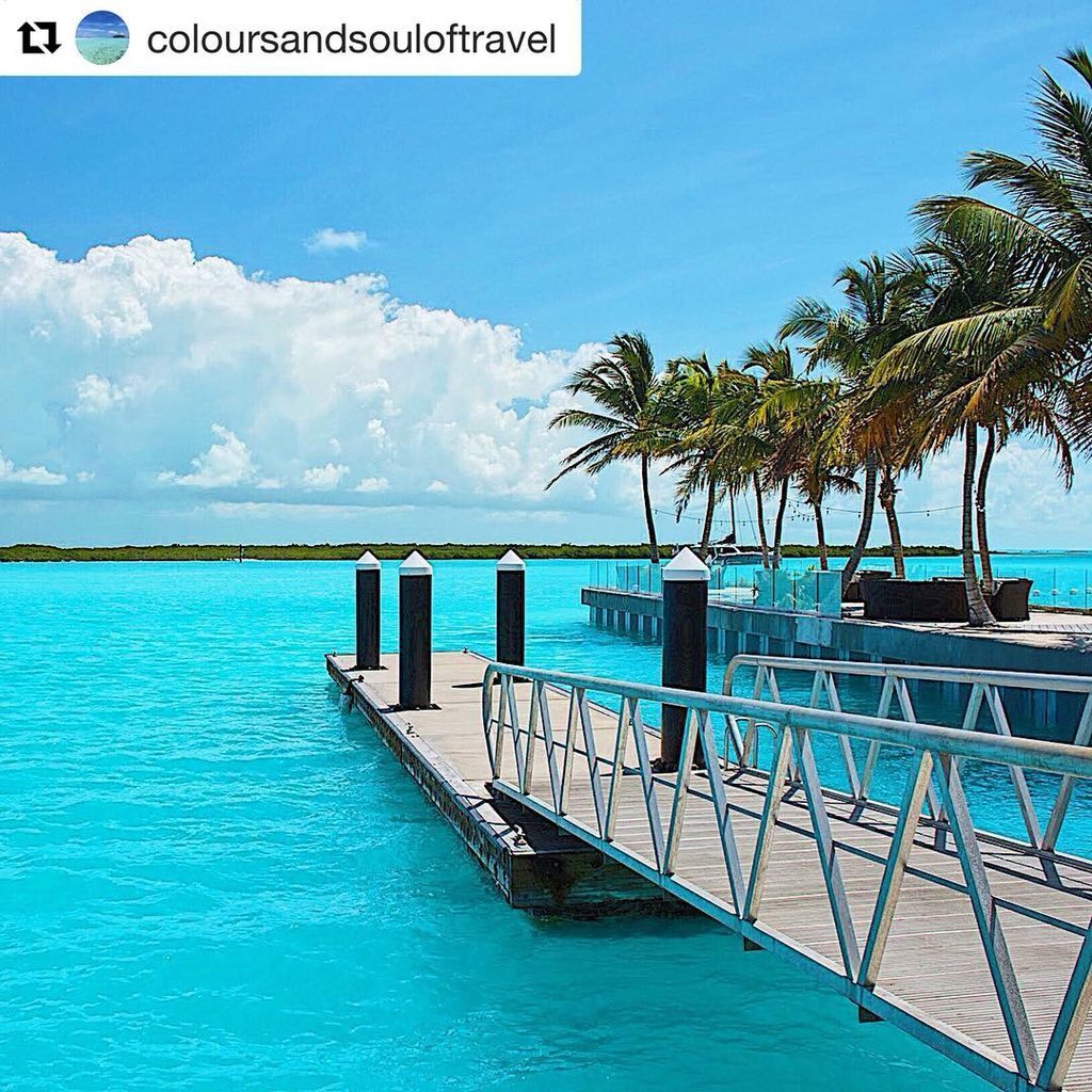 BlueHavenResort's tweet photo. {Blue Haven Resort} Dock walk. #bluehaventci
📸: @coloursandsouloftravel #bluehavenmarina #turksandcaicoscollection #provo #privatebeach #providenciales #turksandcaicos #turksandcaicosislands #boatlife #boatlife⚓️ #boatlifestyle #docktime #dockwalk #dockview #dock #docklife https://t.co/kako11IkVg