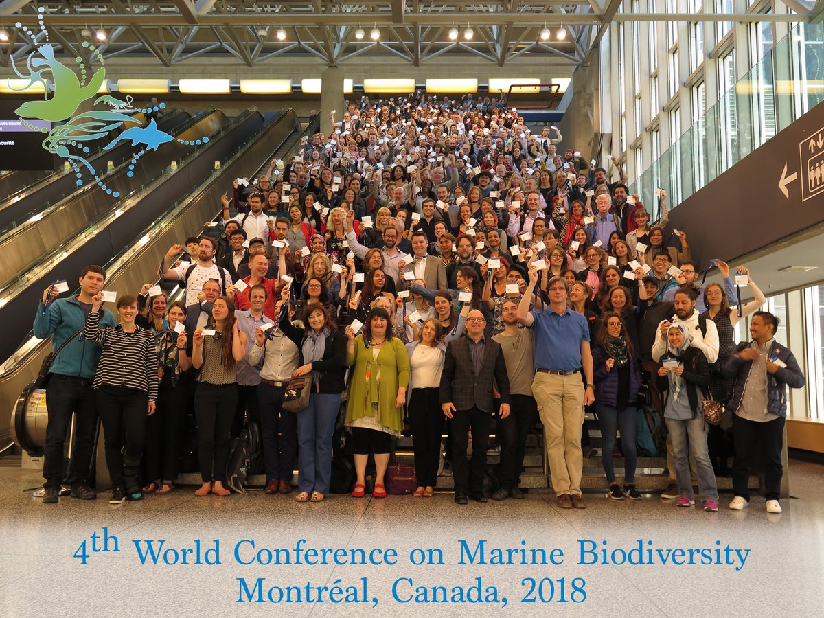 WCMB2018 tweet media