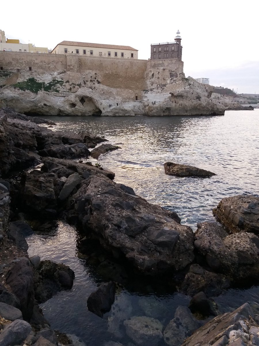 liferemopaf's tweet photo. El Consorcio del #LIFEproject #REMOPAF recibe mañana la segunda visita del Equipo Monitor Externo & EASME dentro del #LIFEprogramme en #Melilla. https://t.co/DvCZgP9IpV