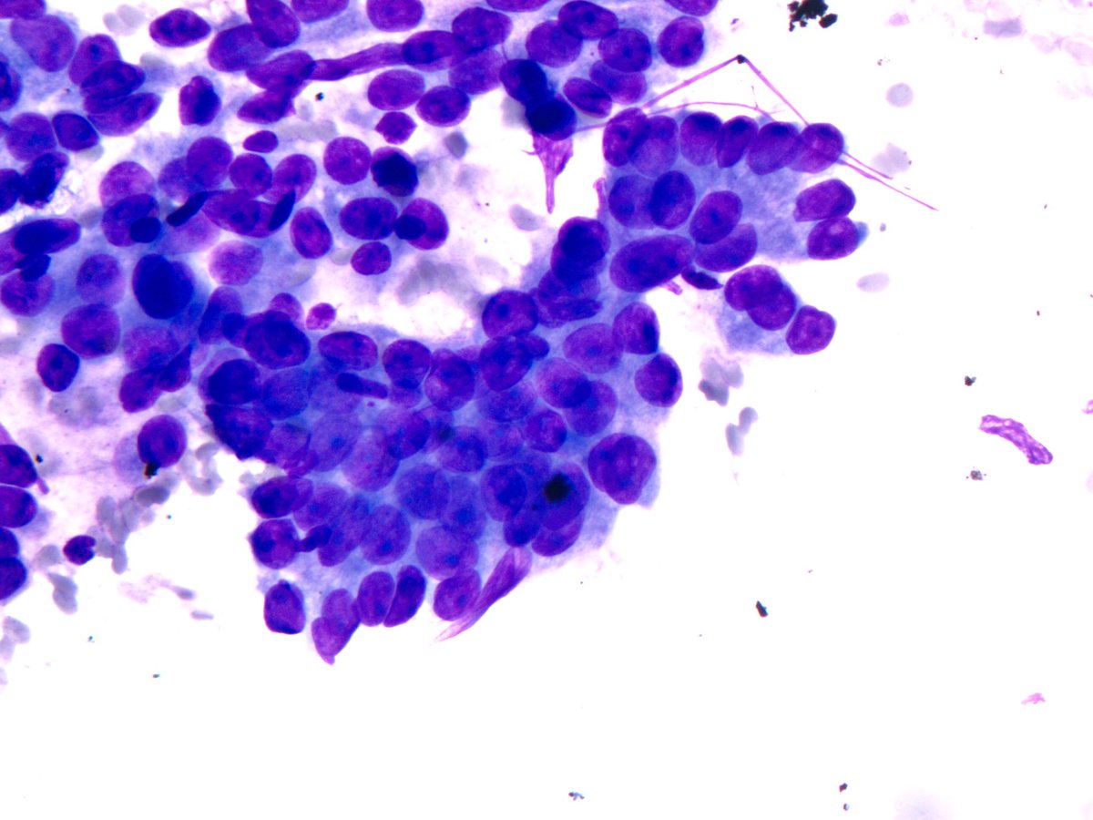 Sanjay Mukhopadhyay tweet media