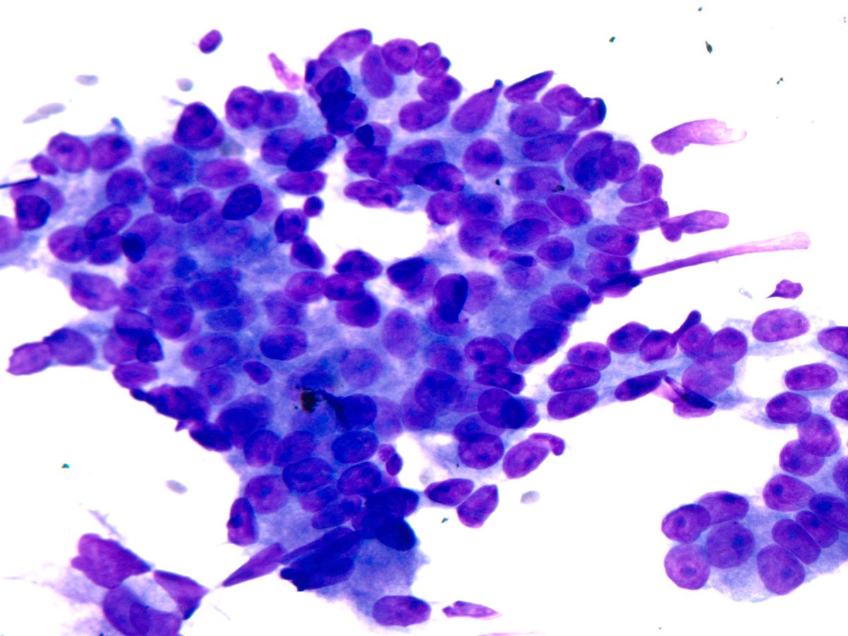 Sanjay Mukhopadhyay tweet media