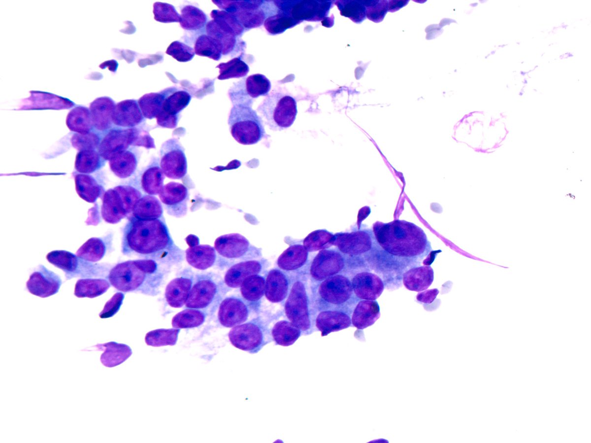 Sanjay Mukhopadhyay tweet media