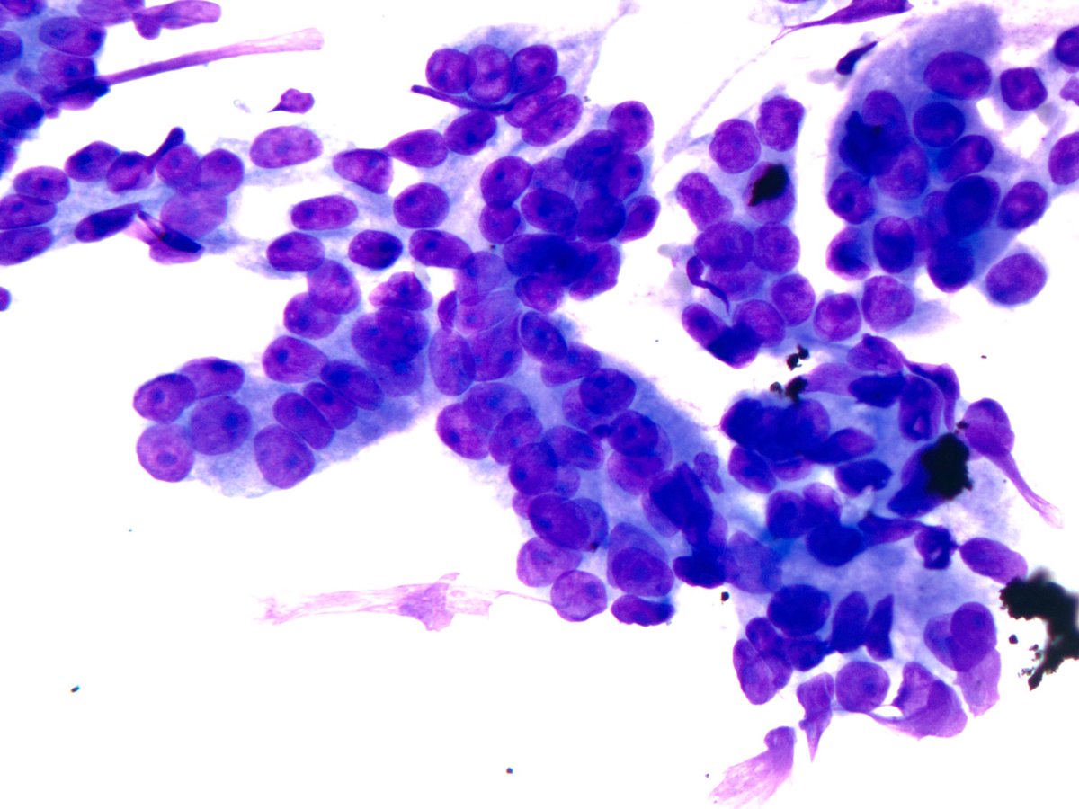 Sanjay Mukhopadhyay tweet media