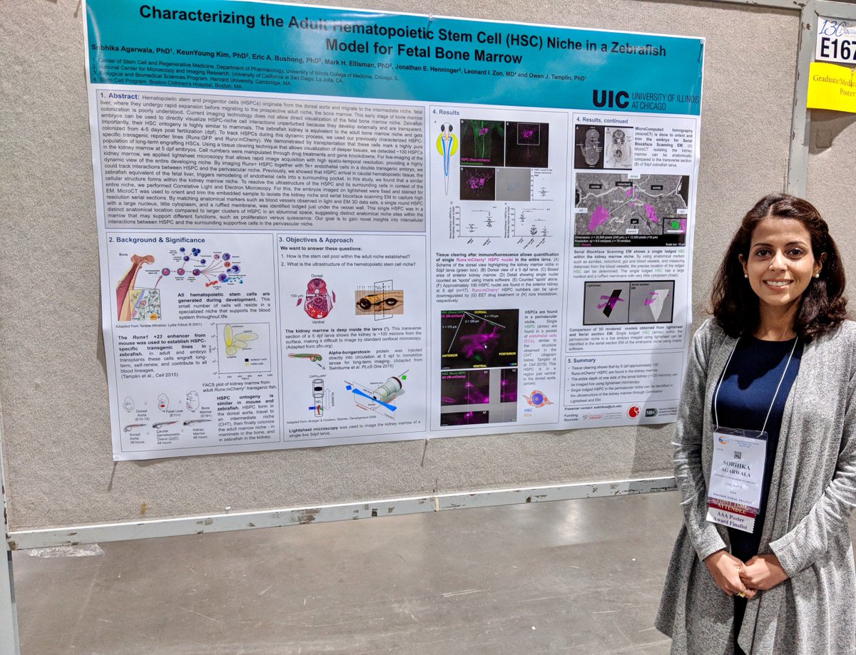 Our trainees continue to do great things. At the Experimental Biology in San Diego, Dr. Sobhika Agarwala, a postdoctoral fellow in Dr. Owen Tamplin's lab, was selected for an oral presentation and was also poster award finalist.