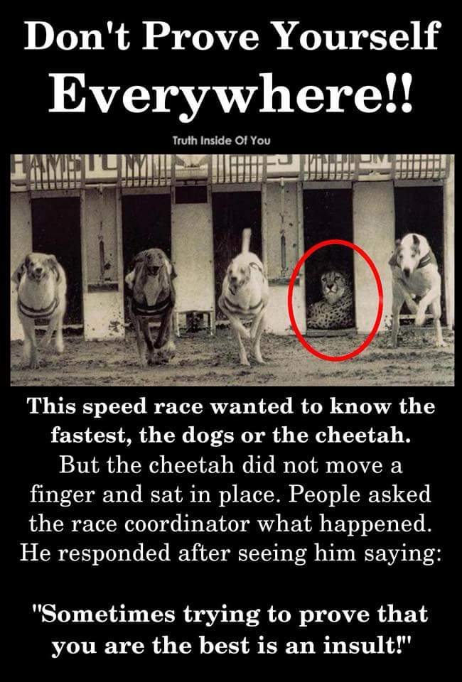 BahadorOmid's tweet photo. Sometimes trying to prove that you are the best is an insult”
#sometimes #prove #yourself #insult #quotes #trying #hope #yeswecan #true #human #bomid #بهادر_امید #ایران https://t.co/gQIFALrXd7