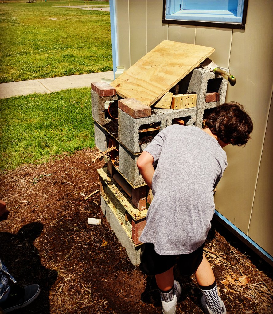 lesgifted's tweet image. 3rd Ss built their structure this week: a new and improved insect hotel. These Ss have studied harmful and beneficial insects this year to help educate students and farmers in Haiti. They designed and constructed their hotel to attract beneficial bugs to our lab. @Landstown_ES