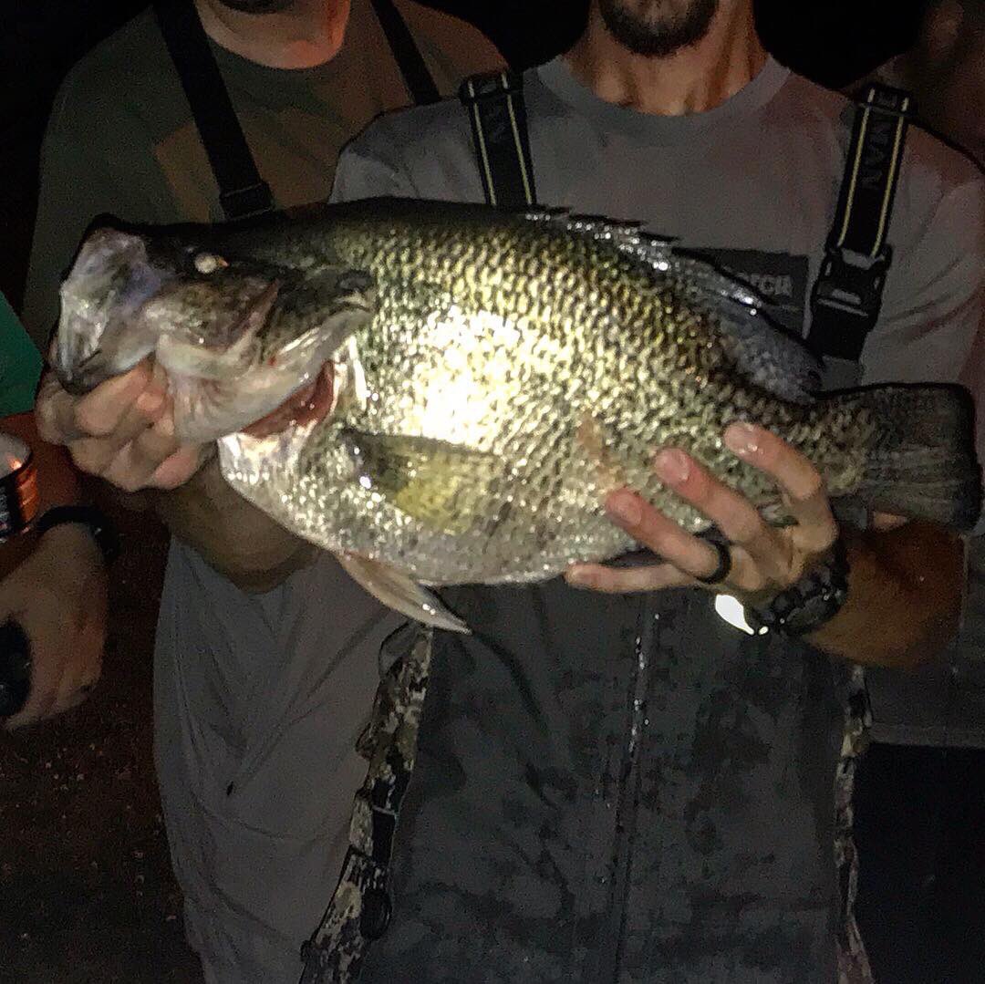 CrappieMasterTV's tweet photo. Jam Ferguson of East TN with his 5.25 lb potential TN state record and world record black crappie. Fish was weighed on TN Toad scales and are waiting to be tested and verified by TWRA to see if it’s a record or not. Either way this is a once in a lifetime catch. https://t.co/MwxseZUft1