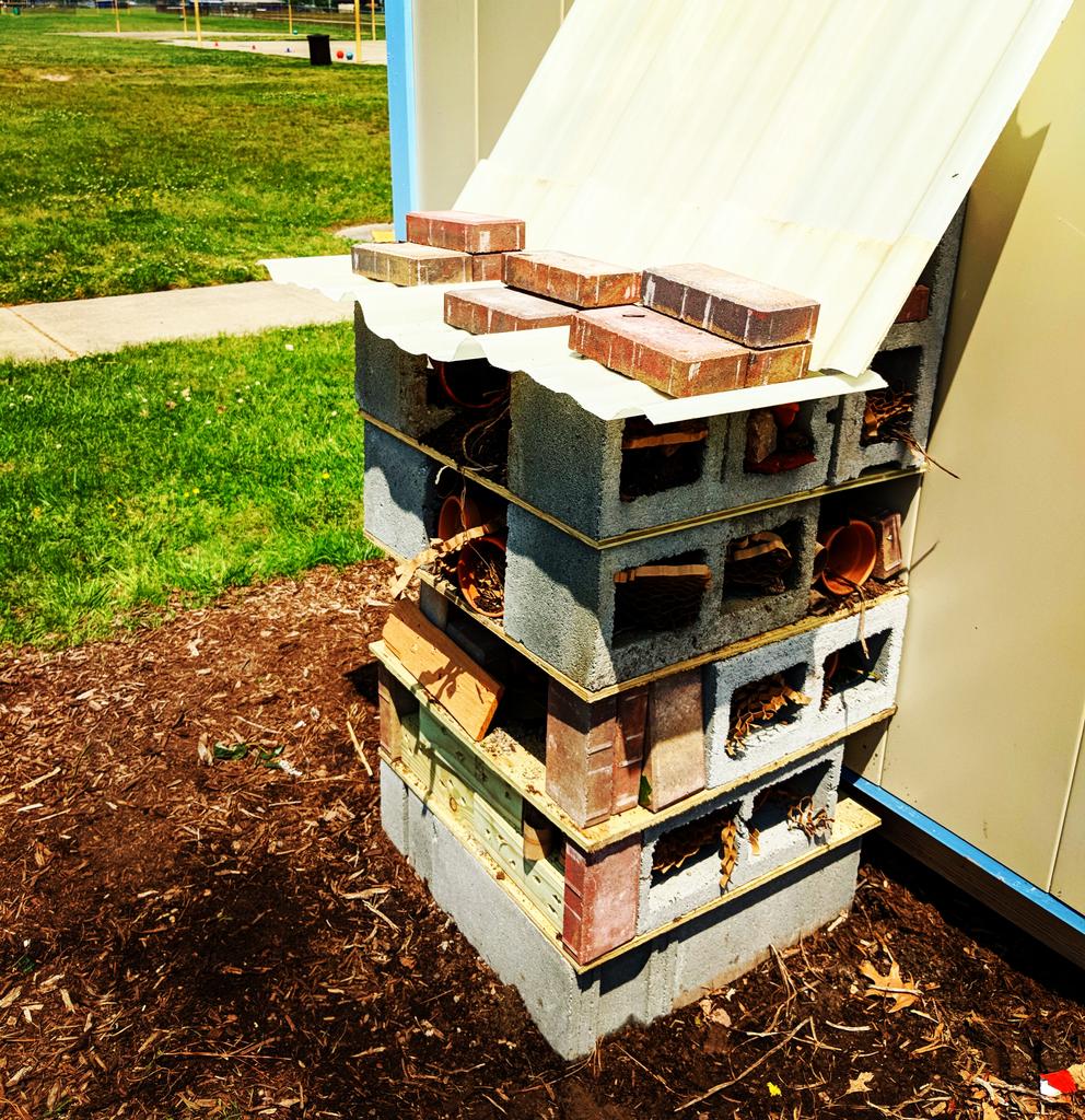 lesgifted's tweet image. 3rd Ss built their structure this week: a new and improved insect hotel. These Ss have studied harmful and beneficial insects this year to help educate students and farmers in Haiti. They designed and constructed their hotel to attract beneficial bugs to our lab. @Landstown_ES