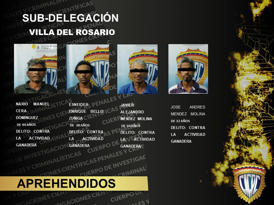 CICPC0283's tweet photo. Detectives de la S/D Villa del Rosario logran la aprehensión de (04) sujetos, por uno de los delitos (Previsto Y Sancionado en la Ley Penal De Protección a la Actividad Ganadera (Abigeato).-). #CicpcLaMejorPoliciaCientifica #FamiliaCicpc #EficienciaONada #LosBuenosSomosMas https://t.co/PvvvjqMUBY