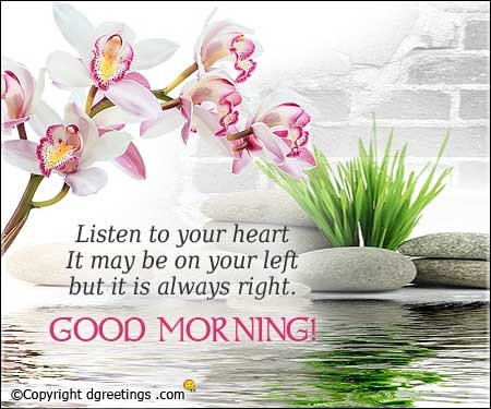 FlcplusplusFlc's tweet photo. Good morning everyone https://t.co/QBdJAgphCW