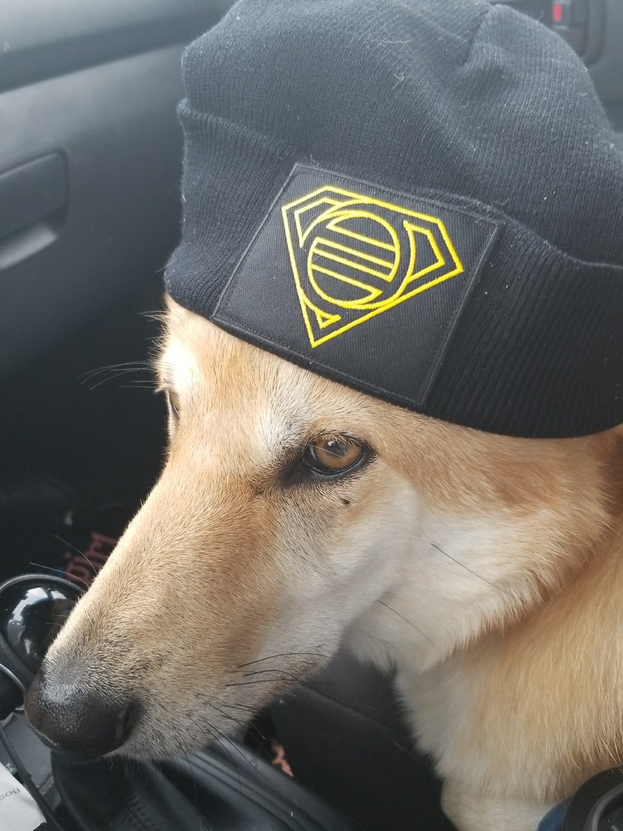 SuperGirlChy's tweet photo. You see us rolling in the new @eastofeli beanie! #eoemerch
@chy_leigh https://t.co/t3Y1krVeF1