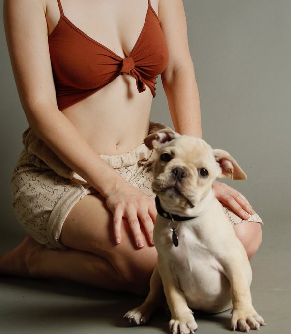 Happy Birthday, Gouda Pig! 🎂✨💕 https://t.co/FbnZiNOMYO<a href="/tag/nowaffleemoji"class="tags"><span>#nowaffleemoji</span></a>