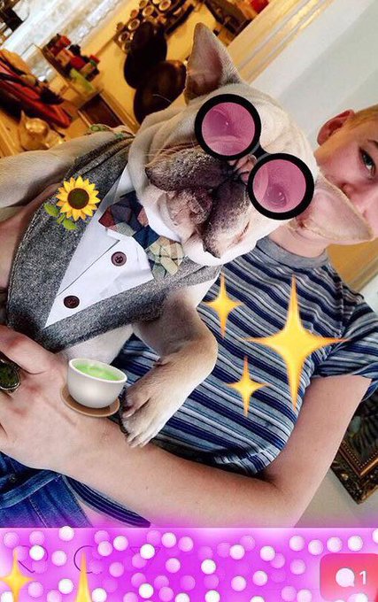 Happy Birthday, Gouda Pig! 🎂✨💕 https://t.co/FbnZiNOMYO<a href="/tag/nowaffleemoji"class="tags"><span>#nowaffleemoji</span></a>