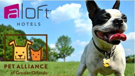 On Wednesday May 23rd come celebrate with us as we launch our foster dog adoption program in partnership with the Pet Alliance of Greater Orlando! visit facebook.com/aloftorlandodo… for more details.