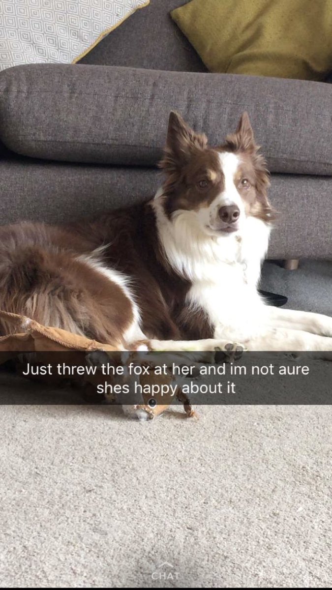 artbydormouse's tweet image. wholesome