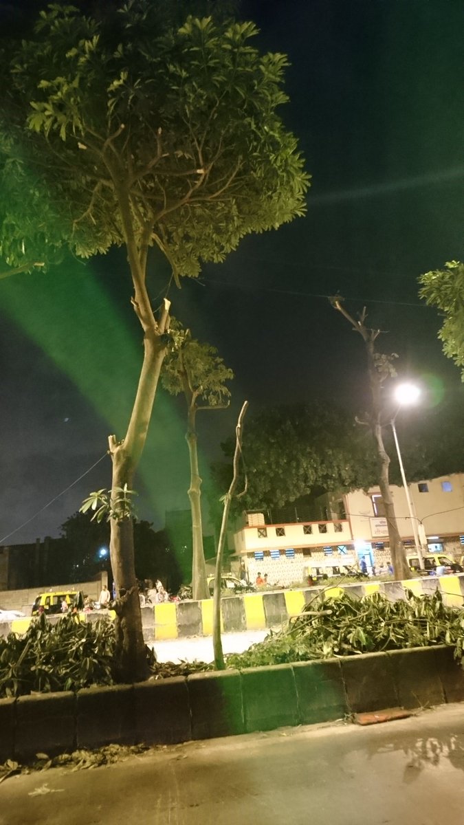 twittesar's tweet image. @MCGM_BMC can you pls justify why so many trees are hacked in the night at Rafi Ahmed Kidwai road? #Wadala #treehack @MumbaiMirror really frustrating to see this happening all over Mumbai. The way it&apos;s hacked, #BMC has made it prone to fall in monsoon 😡