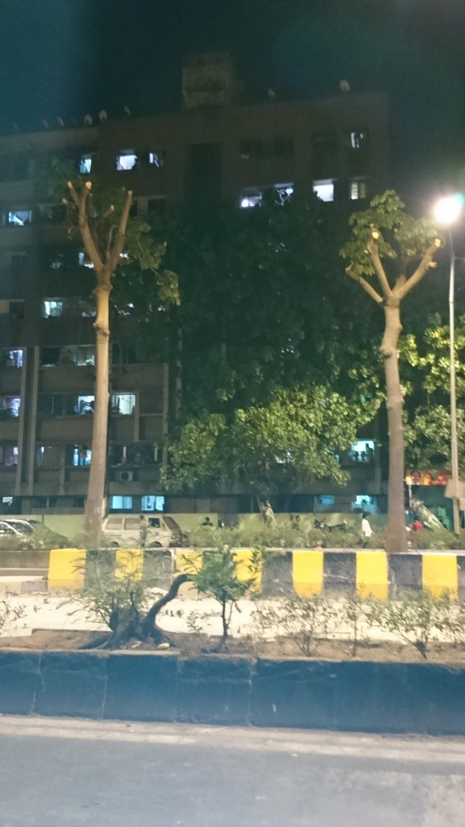 twittesar's tweet image. @MCGM_BMC can you pls justify why so many trees are hacked in the night at Rafi Ahmed Kidwai road? #Wadala #treehack @MumbaiMirror really frustrating to see this happening all over Mumbai. The way it&apos;s hacked, #BMC has made it prone to fall in monsoon 😡