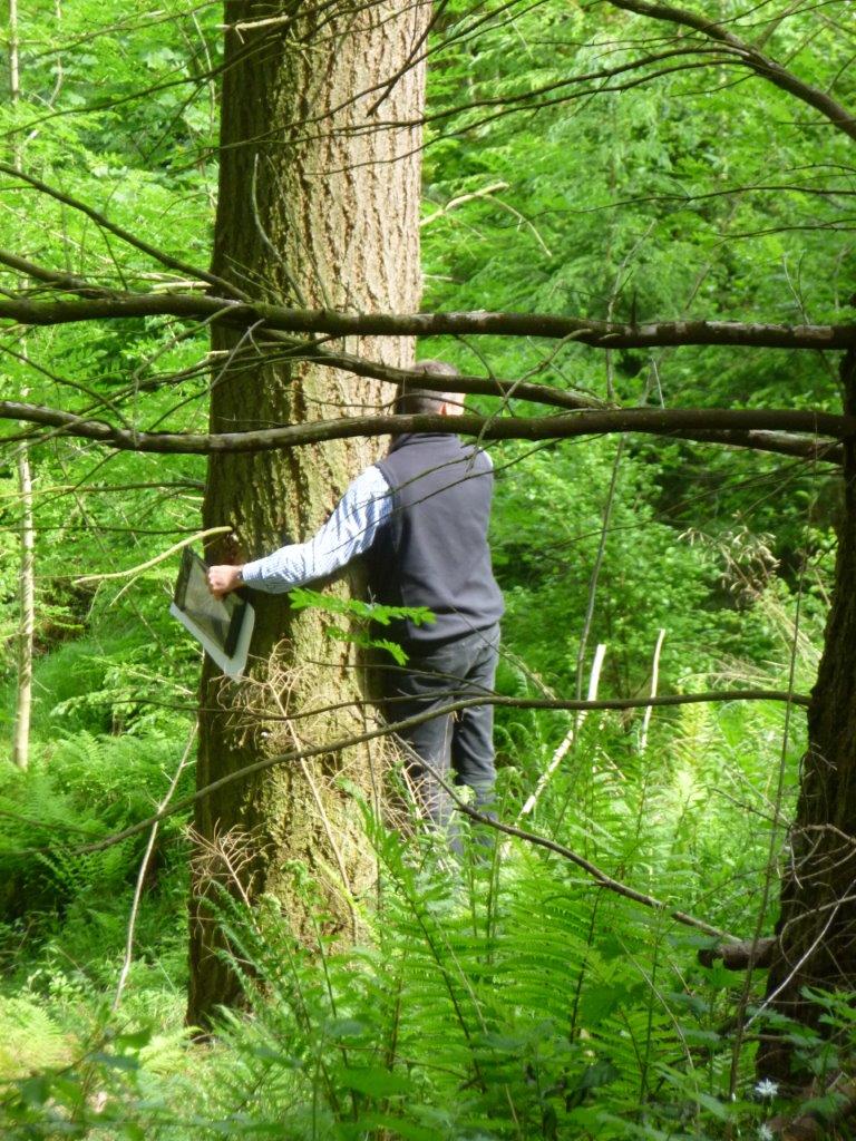 JohnCleggWoods's tweet image. It's National #LoveATreeDay today.  We love all trees at John Clegg &amp;amp; Co.  Here's our very own forester Mike sharing the love out on a woodland inspection.