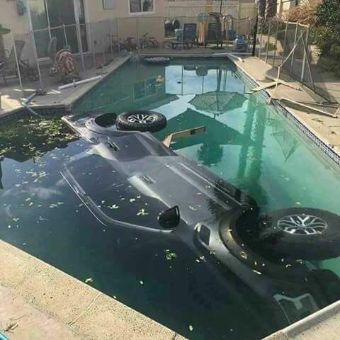 FernandoLago_'s tweet photo. 👩- Bom dia meu amor! Como está seu dia de trabalho?
👨🏽- Bom dia. Está tudo bem, por que?
👩- Amor, responde com sinceridade, o que você faria se encontrasse 200 mil boiando na piscina?
👨🏽- aaahhhh eu ficaria muito feliz!
👩- Que bom...😉😍
#carrro
#piscina
#acidente https://t.co/NXQJiy2Yx5