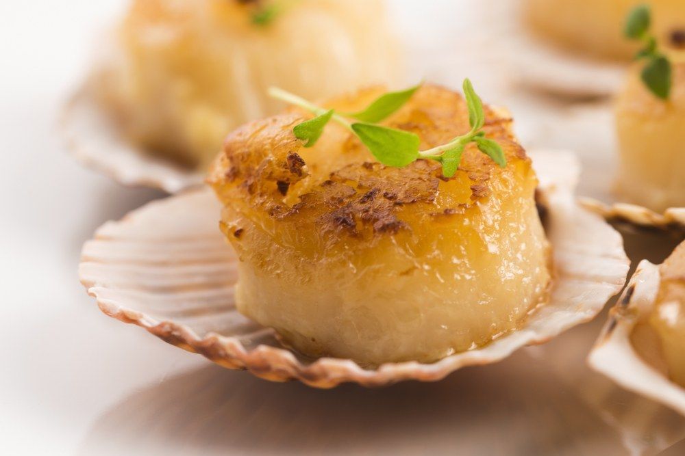SavourMiss's tweet photo. Happy #NationalCoquillesStJacquesDay
#CoquillesStJacquesDay https://t.co/IwIkvs8eBV