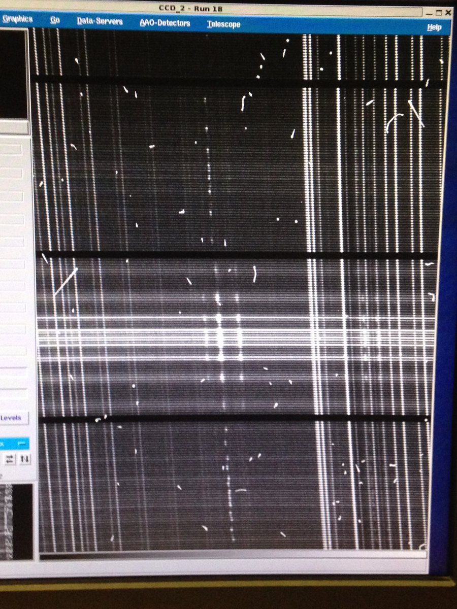 Scott_Croom's tweet photo. More @SAMI_survey galaxies.  The three in this raw data all have hydrogen emission at the same redshift.  Must be in a group.  One of them is the 3000th @SAMI_survey galaxy observed from @AAOastro AAT! https://t.co/PjyJMI348T