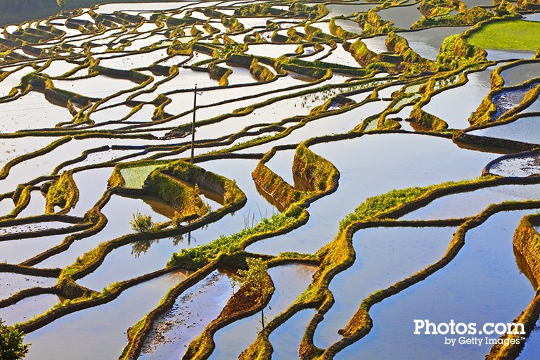 Photos by Getty Images tweet media