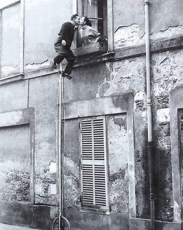 “Si nada nos salva de la muerte, que el amor nos salve la vida.”