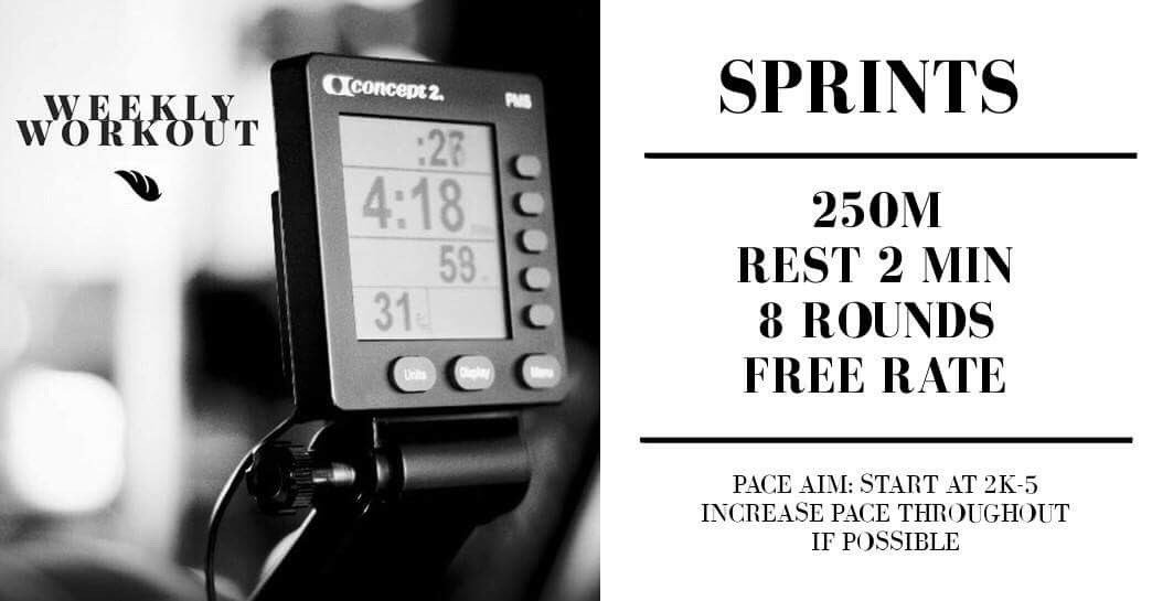 team_esprit's tweet photo. Feel the need for speed? Happy hump day ππͺπΌ
#ESPRITworkout
#concept2
#indoorrowing
#crossfit https://t.co/Ha1Ah5PeTo