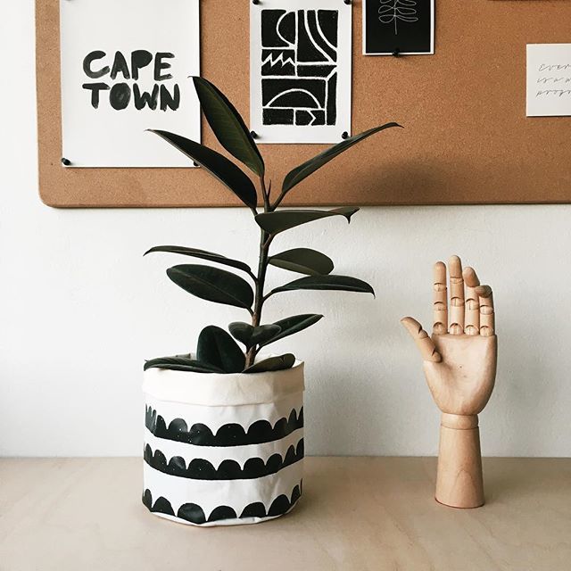 monoshopcoza's tweet photo. We’re bringing back printed canvas buckets but this time they are white and digitally printed. (Keep an eye out, because they’ll be here soon!) P.S. Don’t you just love the classic scallop pattern? It’s still one of our favourites. 👌🏻 https://t.co/KPKvrUHL3y