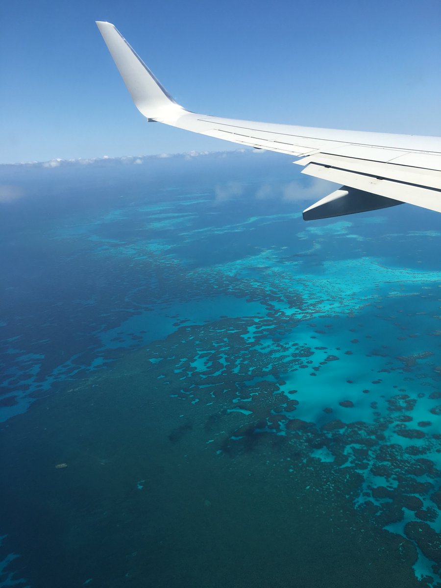 NewsteadResort's tweet photo. Bermuda Bound ✈️ 🍍

#summer18 #Newsteaddreaming #gotobermuda #bermuda #newstead https://t.co/rSj4CgBhoA https://t.co/YJ0IdC0W7q