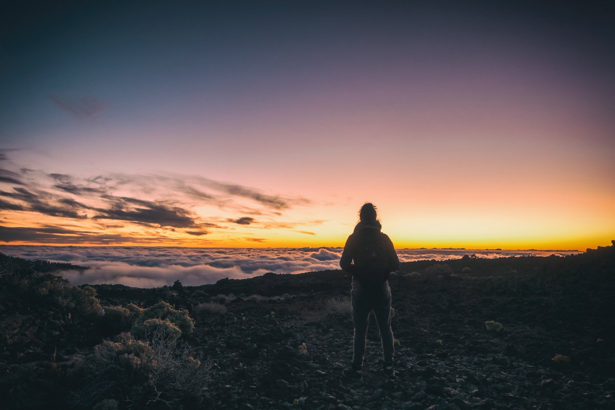 porternovelliNA's tweet photo. It’s live! Check out Pursuing Purpose, a content series around how companies can truly lead with #purpose. Today @Cone shares how organizations of all sizes can articulate their value in an authentic way. https://t.co/kAzfRJlNRz https://t.co/UcRyxM3Y3A
