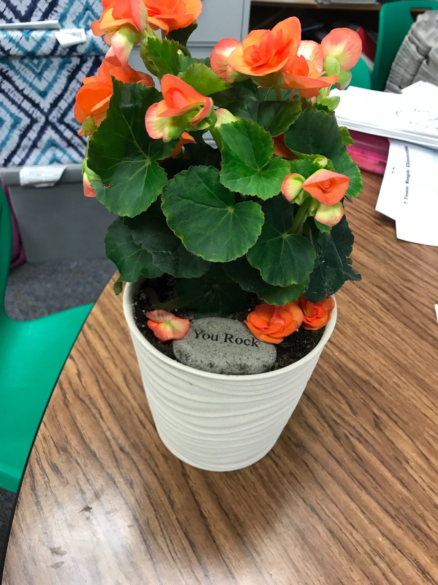 Received one of my very favorite flowers this morning from a very sweet student! Made my day!