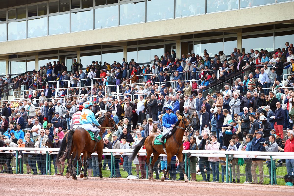 LeTrot's tweet photo. Très joli score à @CaenOfficiel pour la réunion du Grand Prix des 👑Ducs de Normandie👑
🔸@_PMU : 13 174 401 € (+2,12%)
🔹PMH : 98 576 € (+4,07%)
🔸Entrées : 7 631 (+44,8%)
🔹Compte-rendu sportif 👉 https://t.co/iSy5K1bri3
📸 @ScoopDyga https://t.co/wfqLkWWFdu